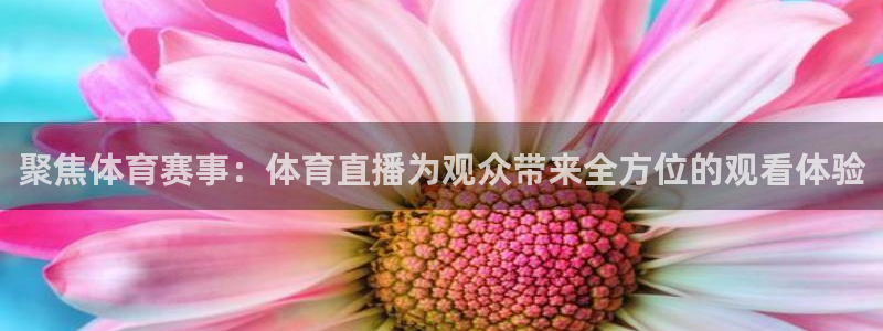 聚焦体育赛事：体育直播为观众带来全方位的观看体验