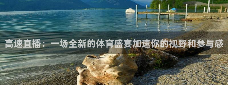 高速直播：一场全新的体育盛宴加速你的视野和参与感