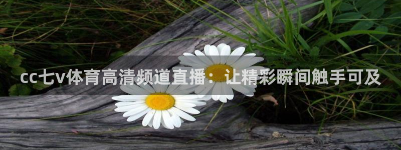 cc七v体育高清频道直播：让精彩瞬间触手可及
