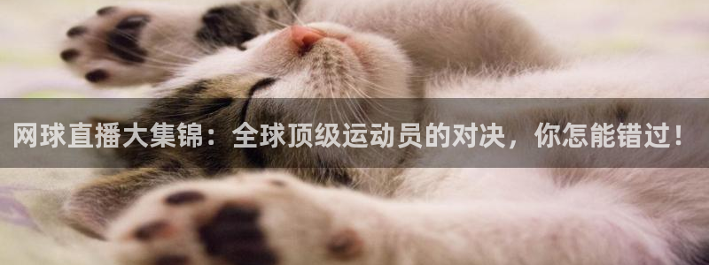 网球直播大集锦：全球顶级运动员的对决，你怎能错过！